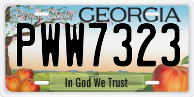 GA license plate PWW7323