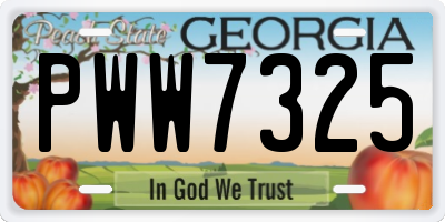 GA license plate PWW7325