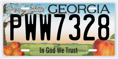 GA license plate PWW7328