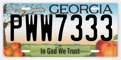 GA license plate PWW7333
