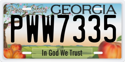 GA license plate PWW7335