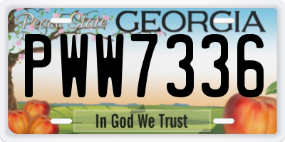 GA license plate PWW7336