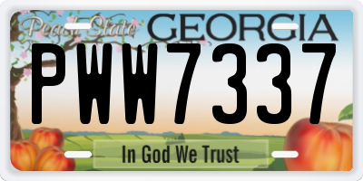 GA license plate PWW7337
