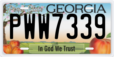 GA license plate PWW7339