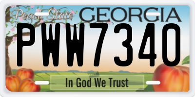 GA license plate PWW7340