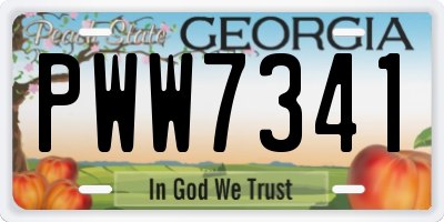 GA license plate PWW7341