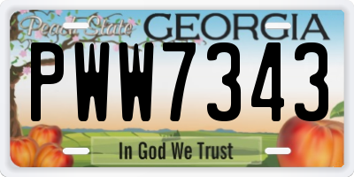 GA license plate PWW7343