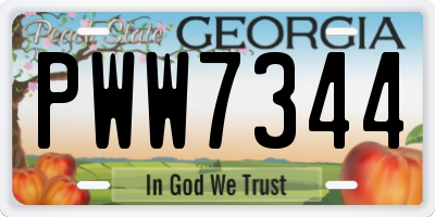 GA license plate PWW7344