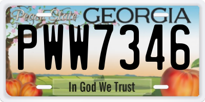 GA license plate PWW7346