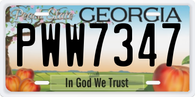 GA license plate PWW7347