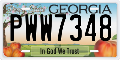 GA license plate PWW7348