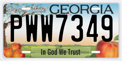 GA license plate PWW7349