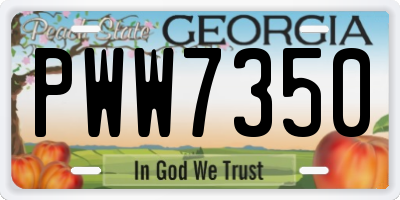 GA license plate PWW7350