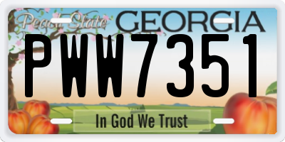 GA license plate PWW7351
