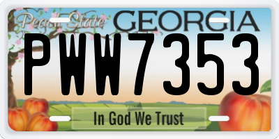 GA license plate PWW7353