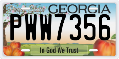 GA license plate PWW7356