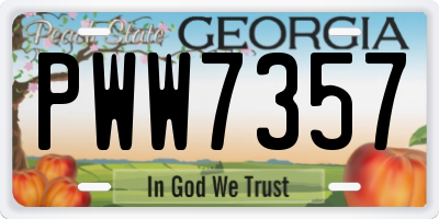 GA license plate PWW7357