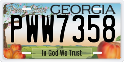 GA license plate PWW7358