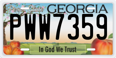 GA license plate PWW7359