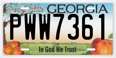 GA license plate PWW7361