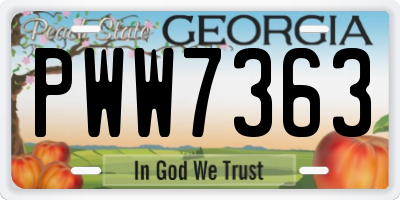 GA license plate PWW7363