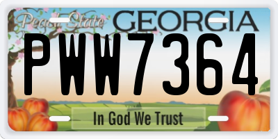 GA license plate PWW7364