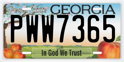 GA license plate PWW7365