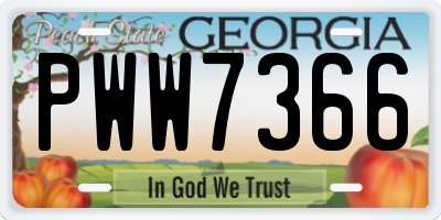 GA license plate PWW7366