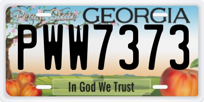 GA license plate PWW7373