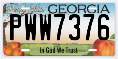 GA license plate PWW7376