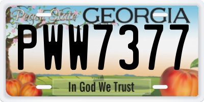 GA license plate PWW7377
