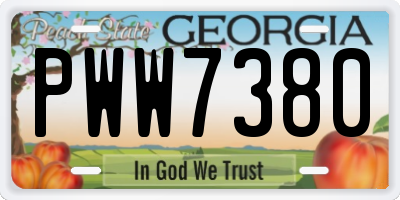 GA license plate PWW7380