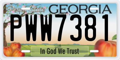 GA license plate PWW7381