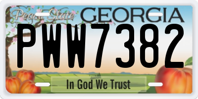 GA license plate PWW7382