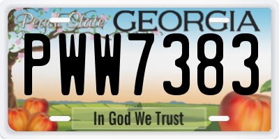 GA license plate PWW7383