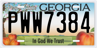 GA license plate PWW7384