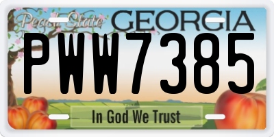 GA license plate PWW7385