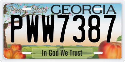 GA license plate PWW7387