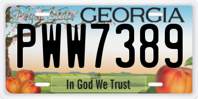 GA license plate PWW7389