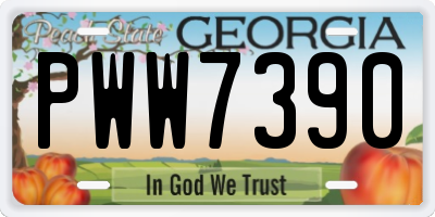 GA license plate PWW7390