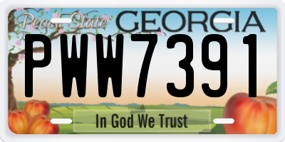 GA license plate PWW7391