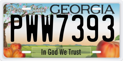 GA license plate PWW7393