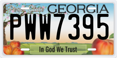 GA license plate PWW7395