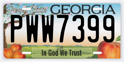 GA license plate PWW7399