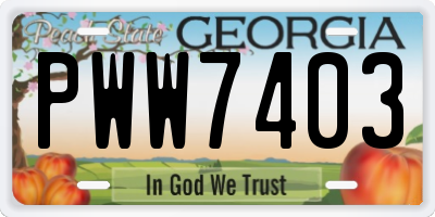 GA license plate PWW7403