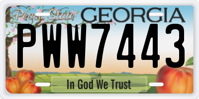 GA license plate PWW7443