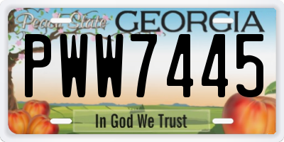 GA license plate PWW7445