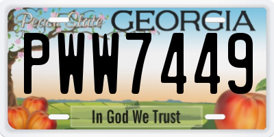 GA license plate PWW7449