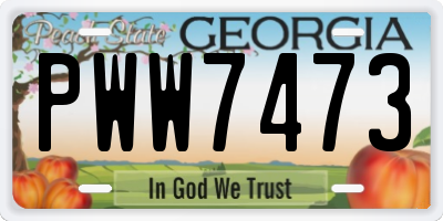 GA license plate PWW7473