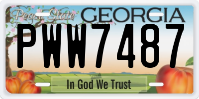 GA license plate PWW7487